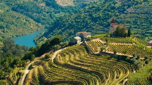 douro1 (1).jpg