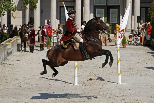 horse4.jpg