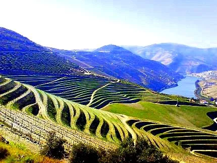 douro-1.jpg