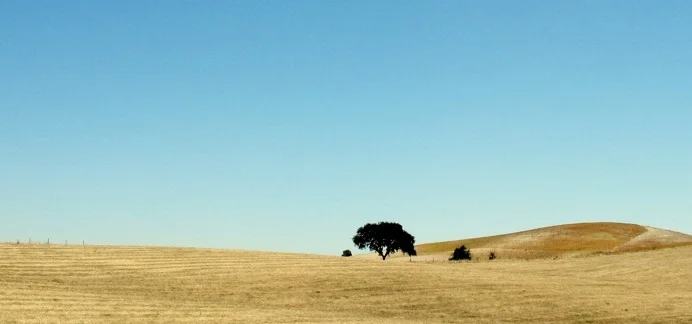 ALENTEJO