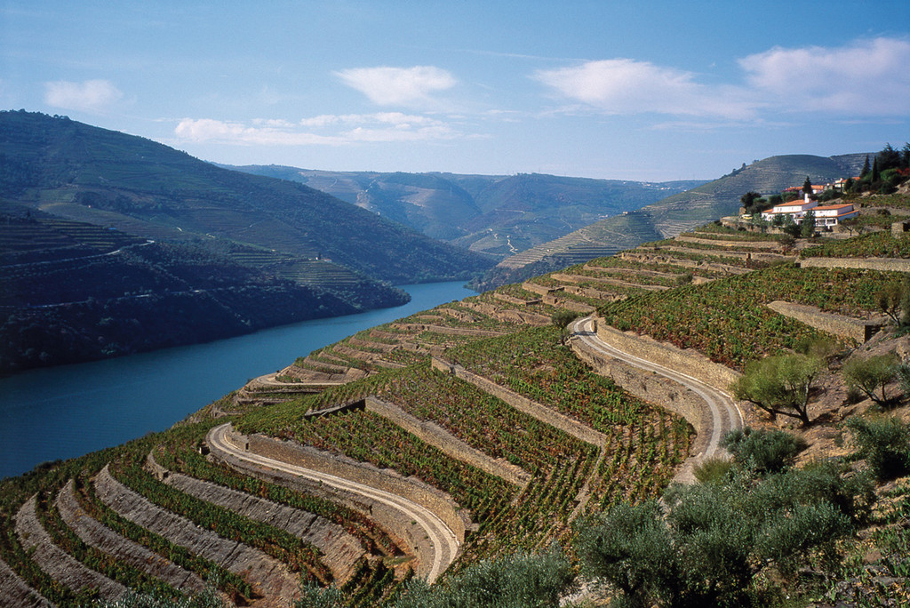 Douro Valley