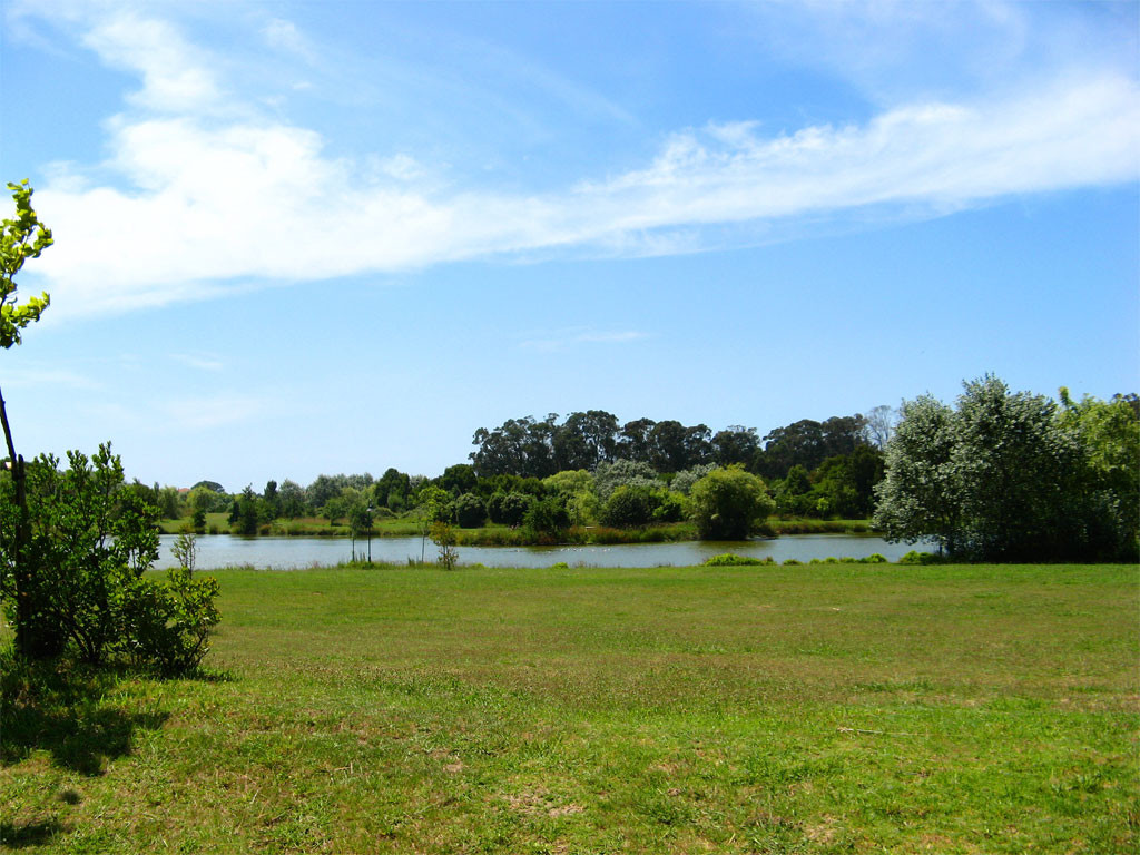 Parque da Cidade do Porto.