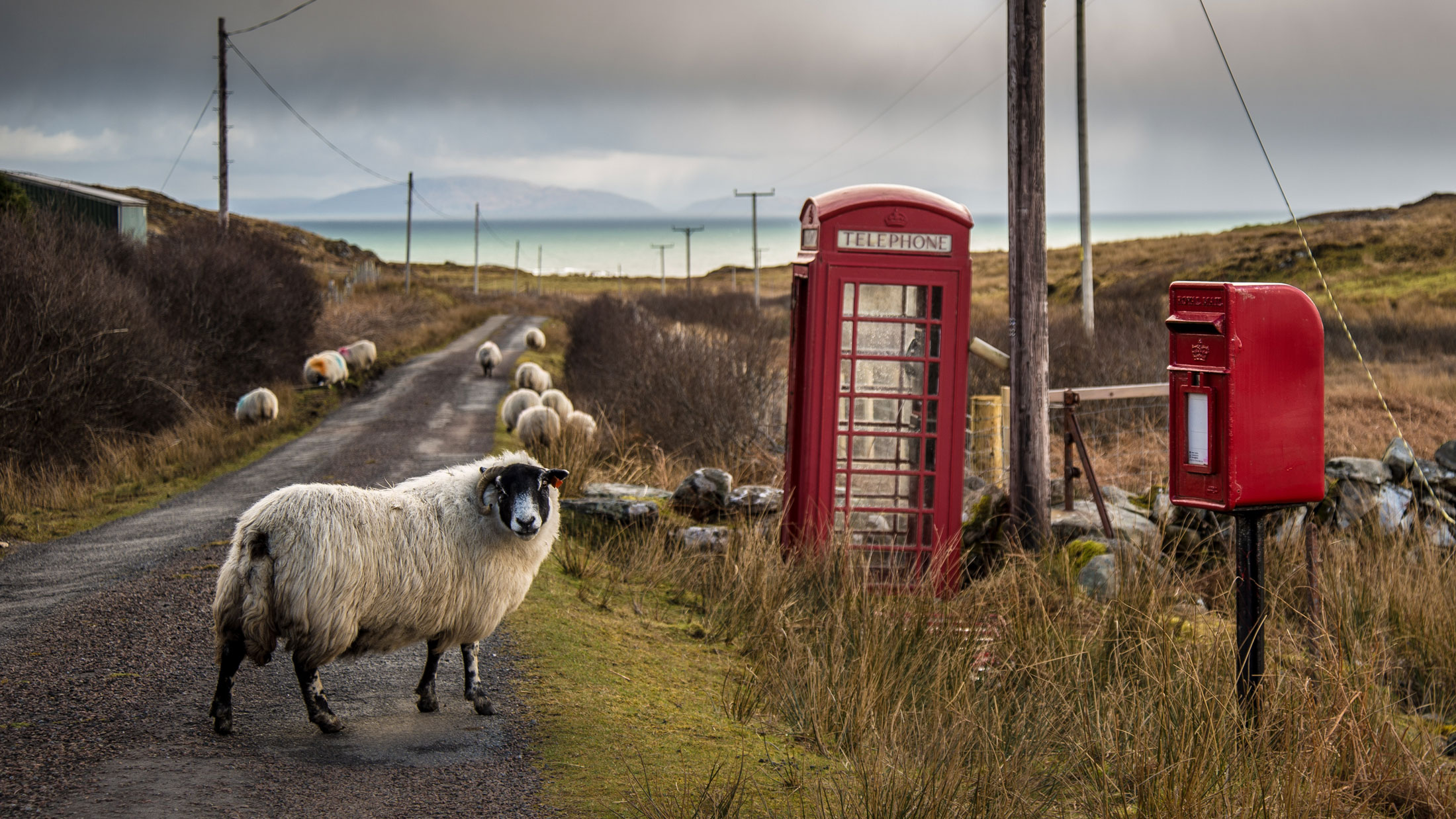 Photographer: Aidan Maccormick/Flickr