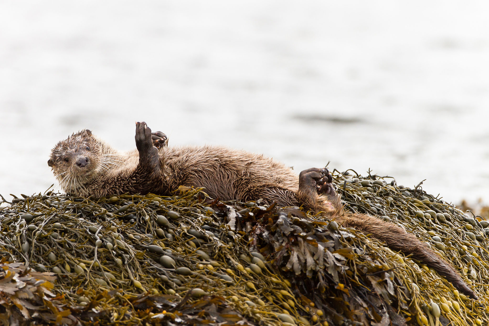 Photographer: Andy Howard (www.andyhoward.co.uk)