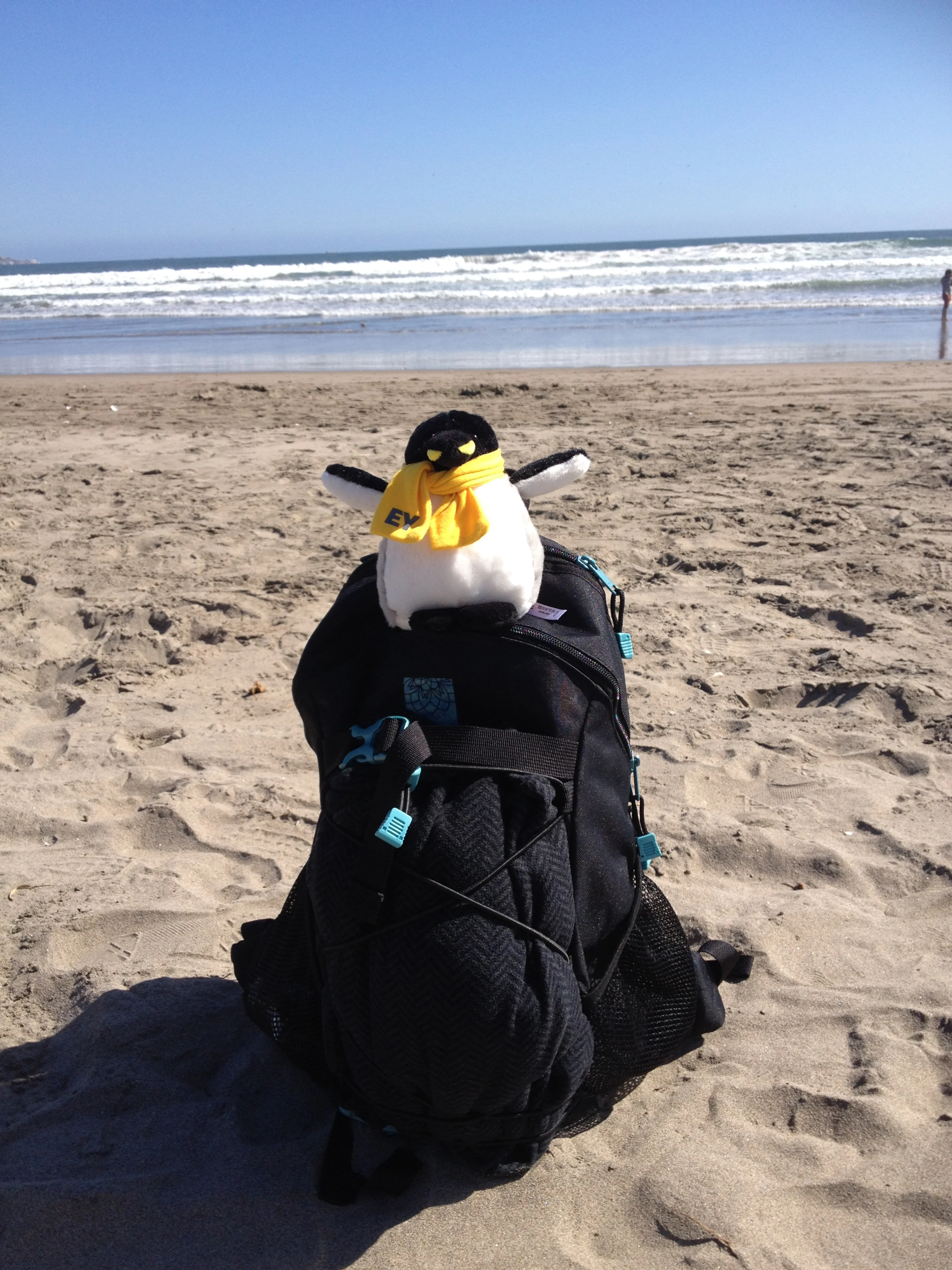 ey_blindapplying_eybackpack.jpg