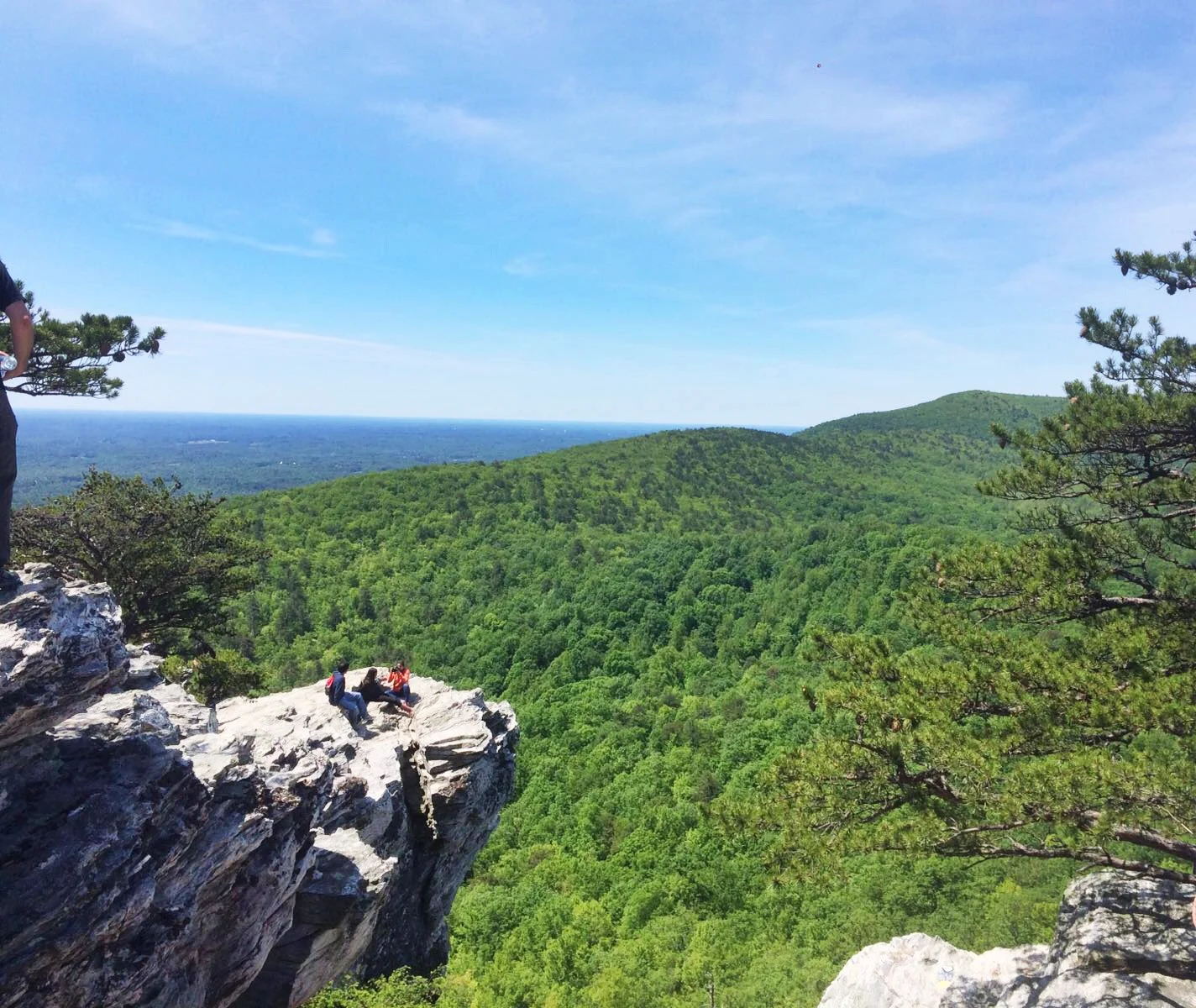 mountain_view_chloe_blindapplying.jpg