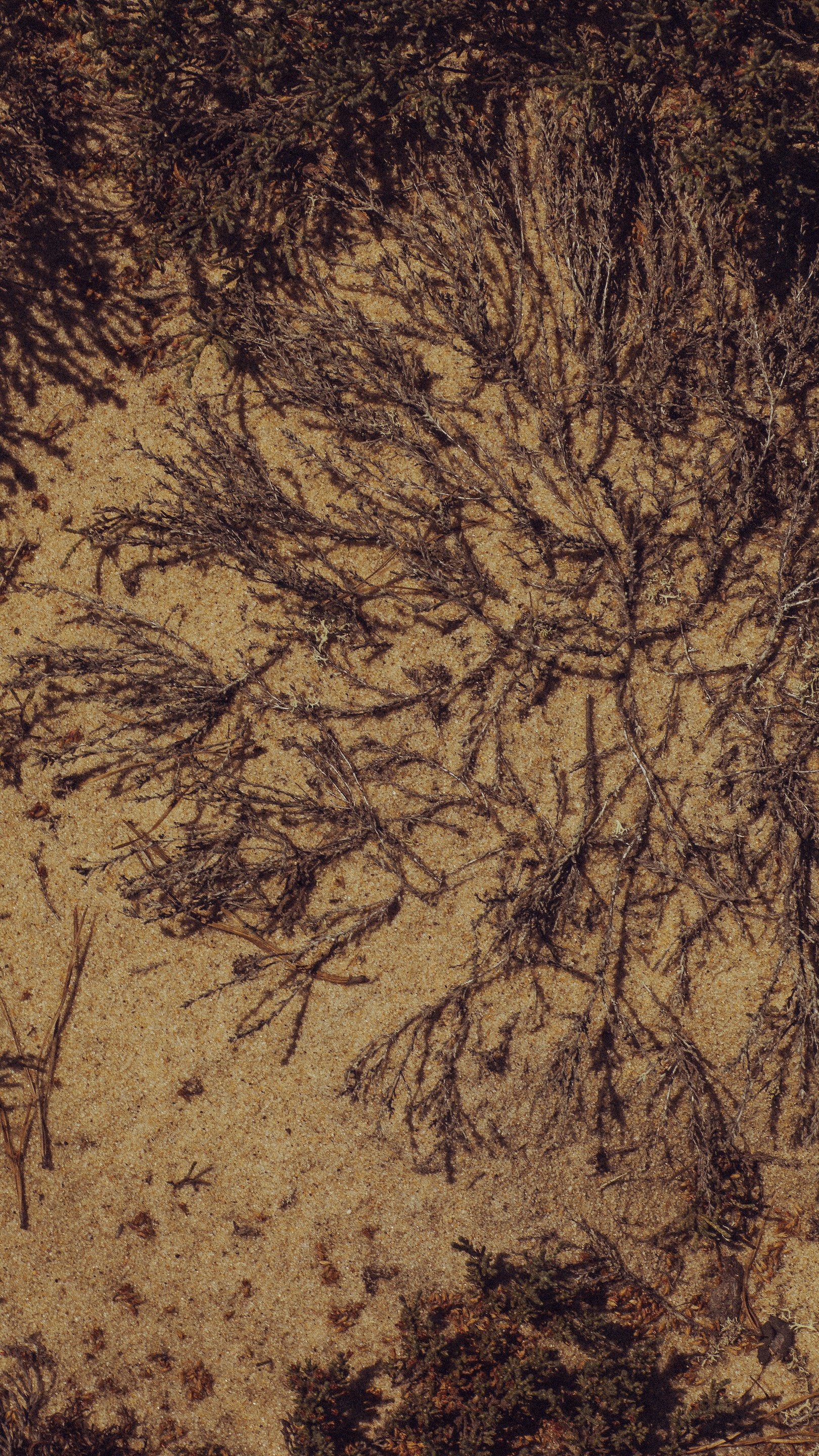 _DP_0092.JPG