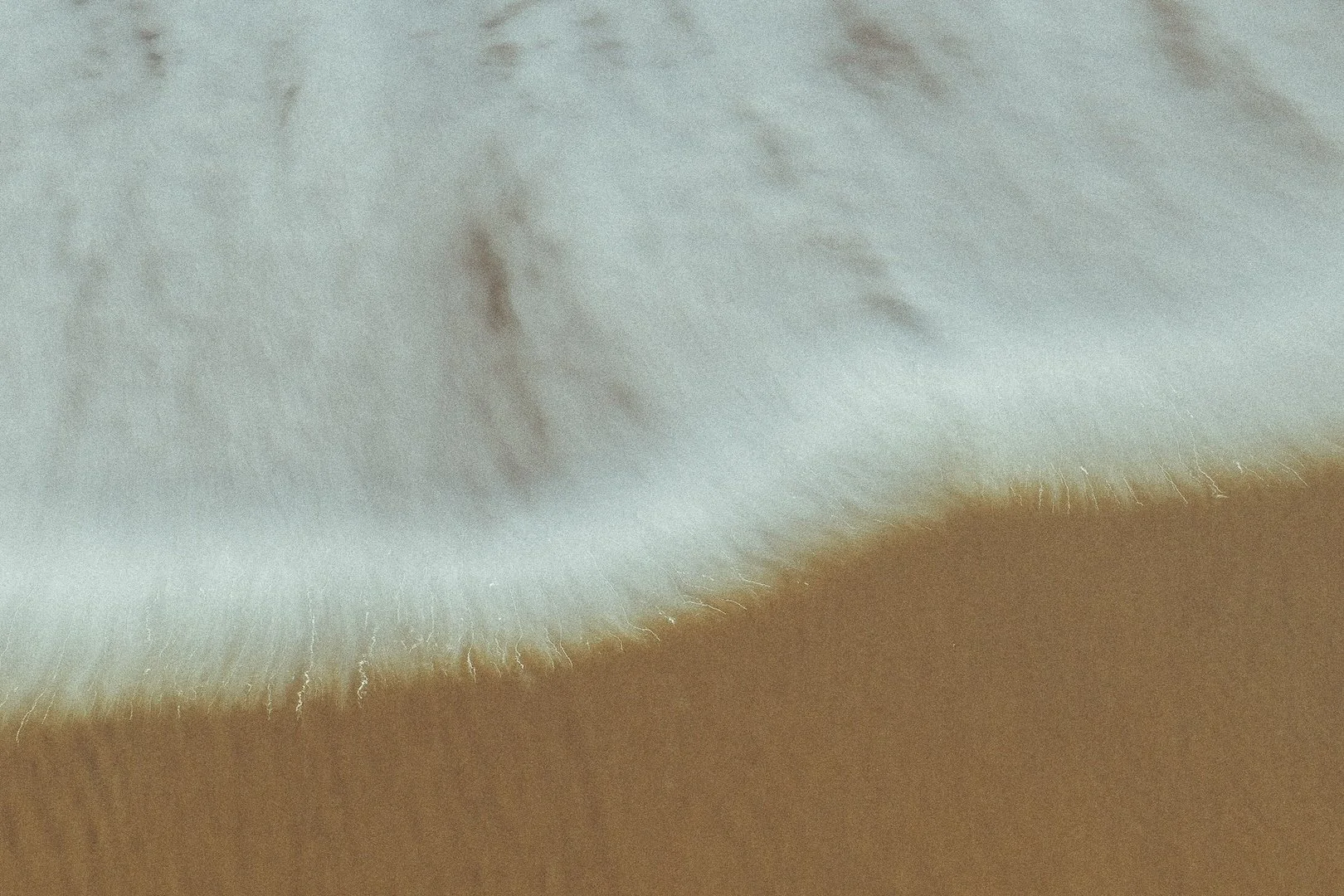 _DP_0242-2.JPG