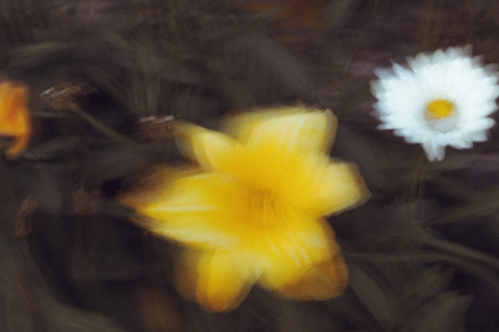 _DP_1217.JPG