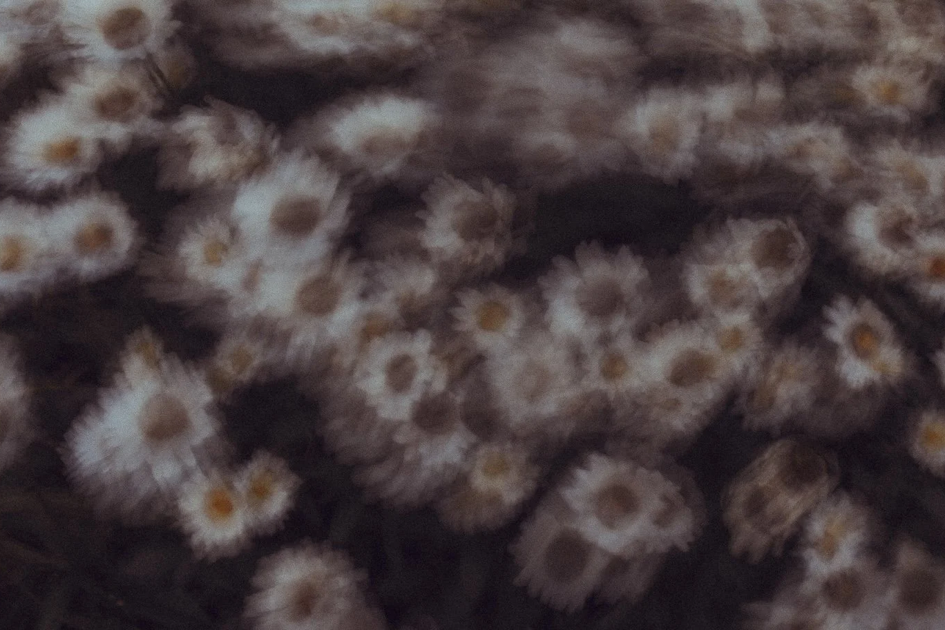 _DP_1207.png