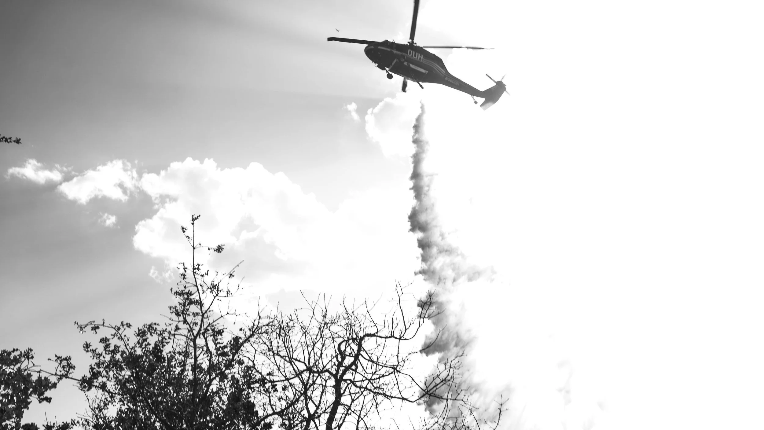 Gracemont-Fire-Selects-19.jpg