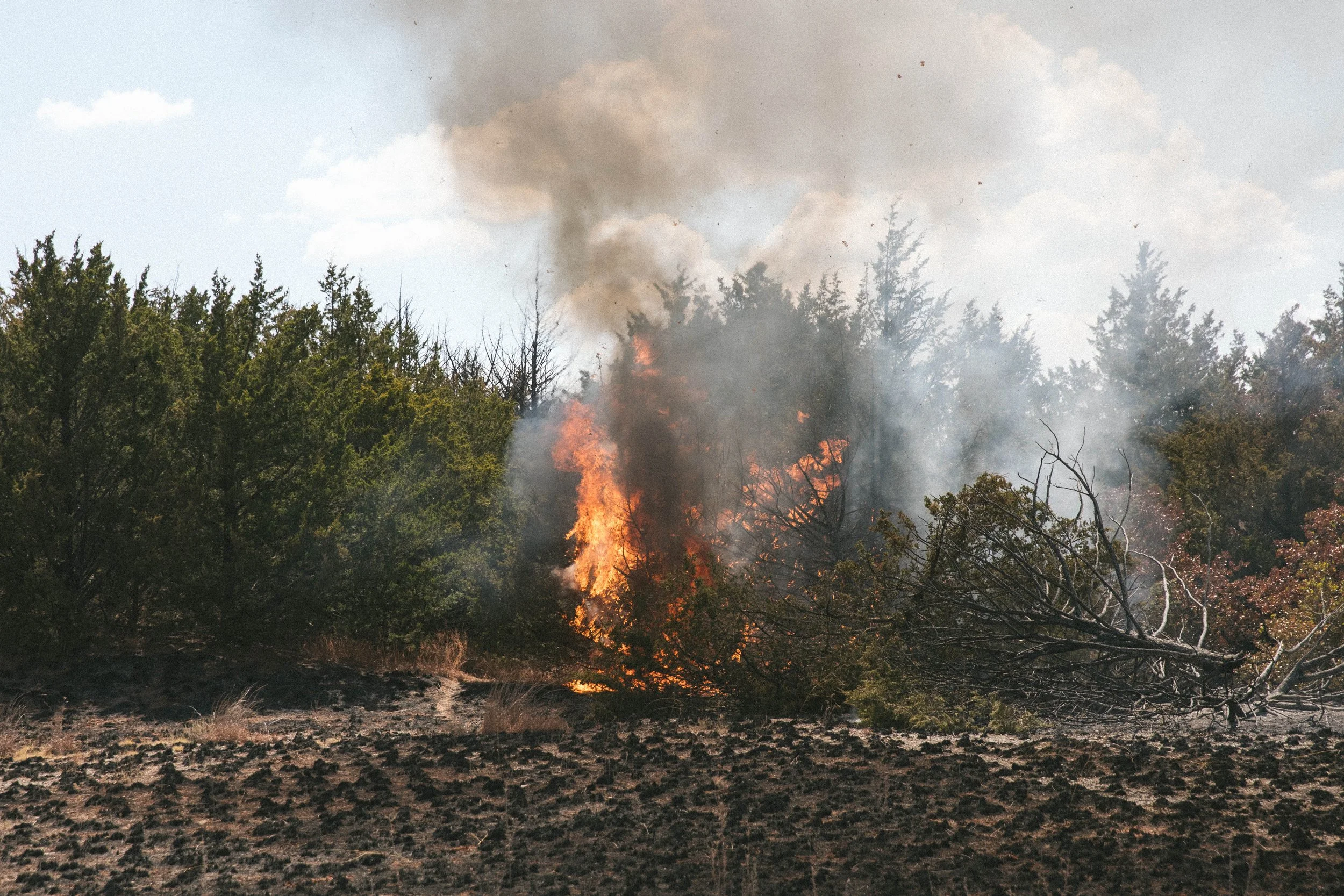 Gracemont-Fire-Selects-31.jpg