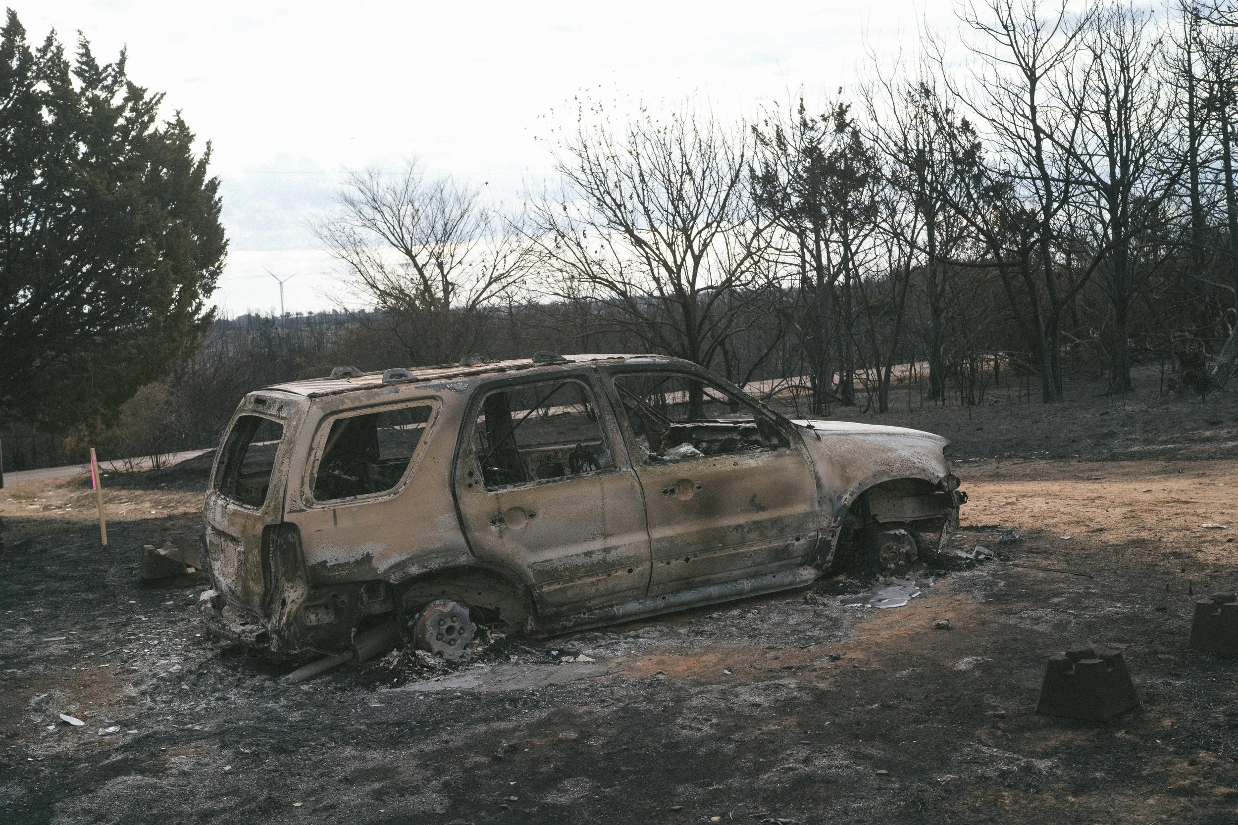 Gracemont-Fire-Selects-103.jpg