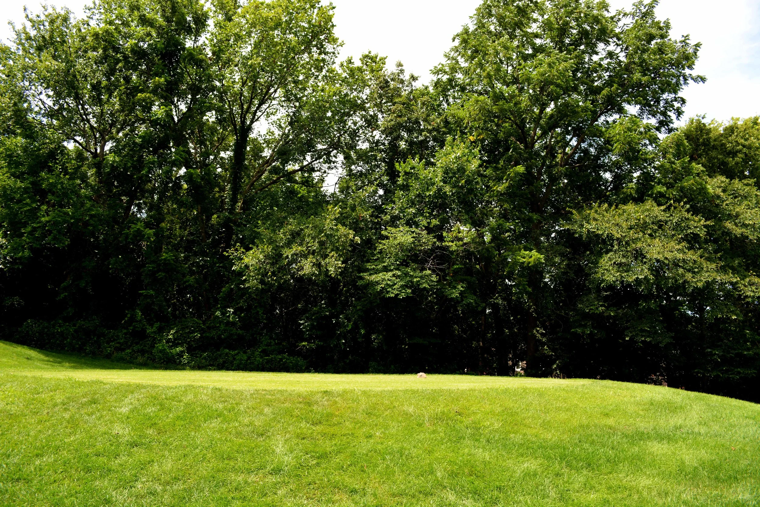 This is the rear view of the lot from the sidewalk behind the golf course. 