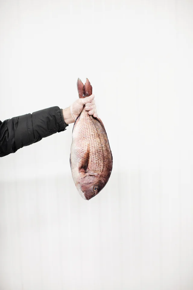 2014 Best of Restaurants for Mpls.St.Paul Magazine.