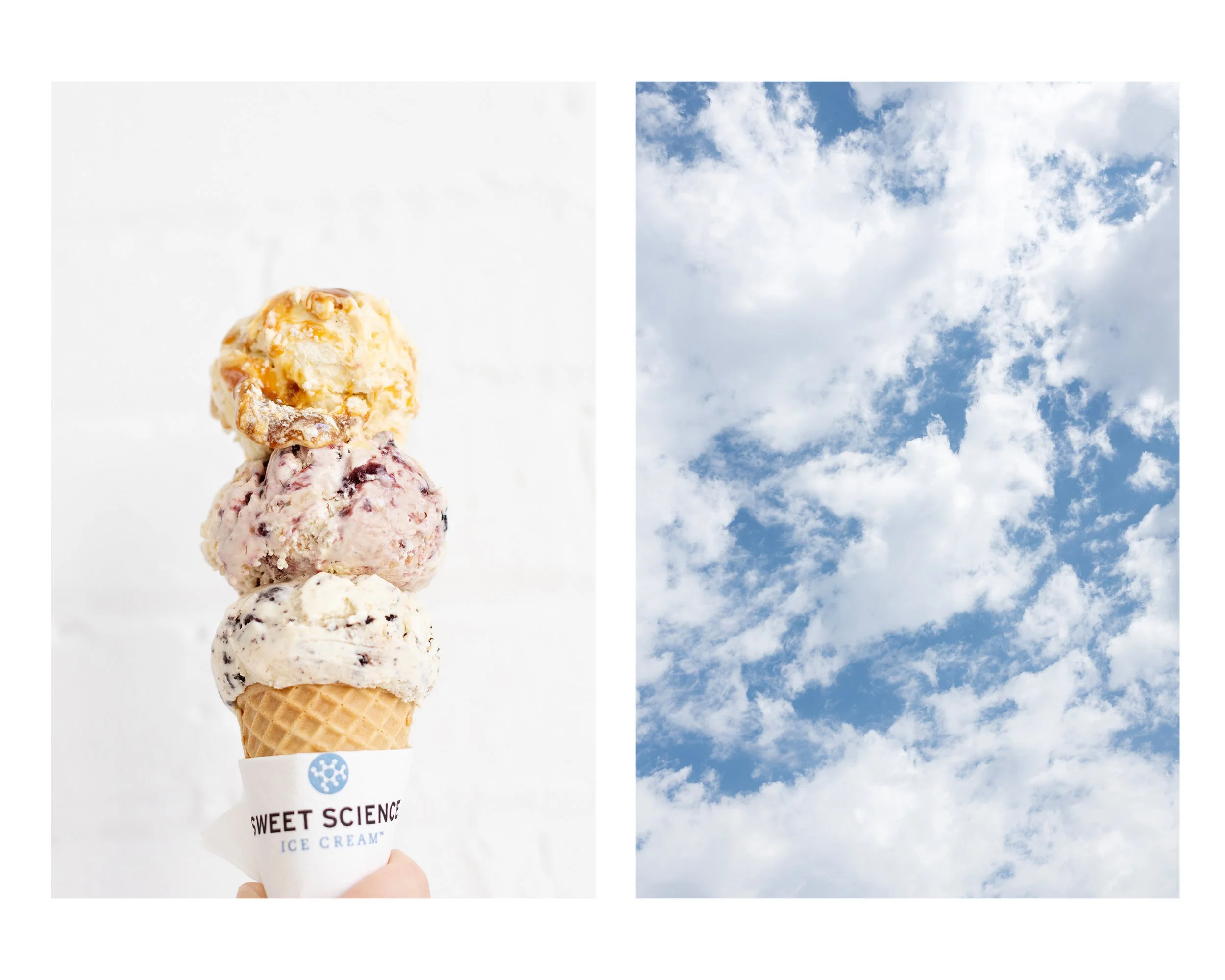 Sprinkle by Sweet Science Ice Cream!