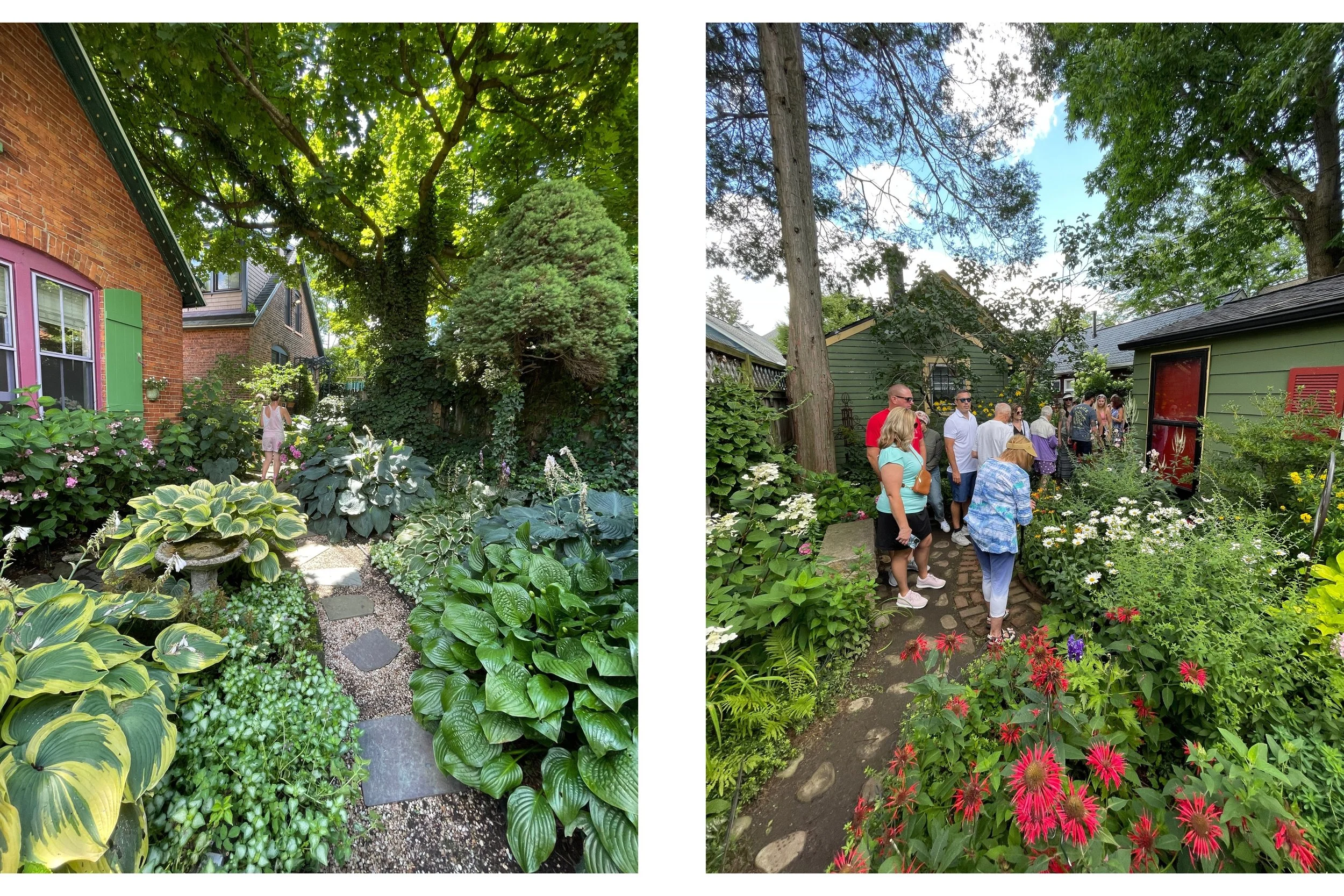 garden walk buffalo garden walk buffalo ny