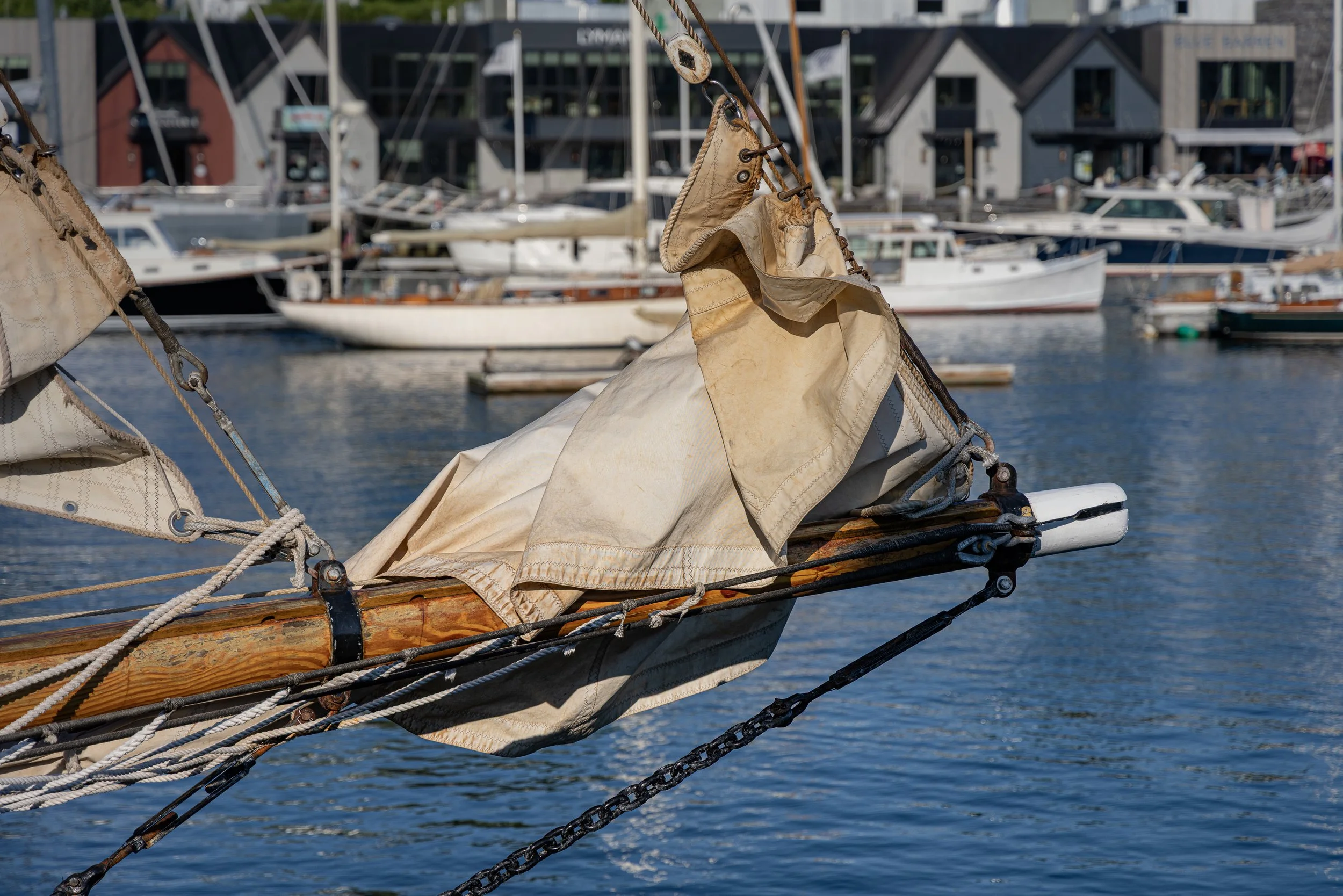 7K7A5869.jpg