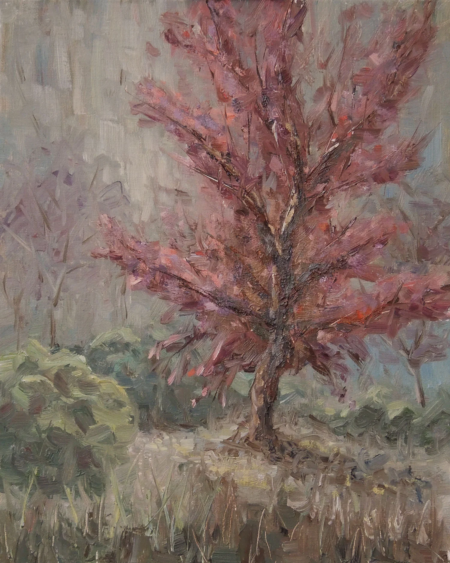 "Japanese Maple" | 10x8