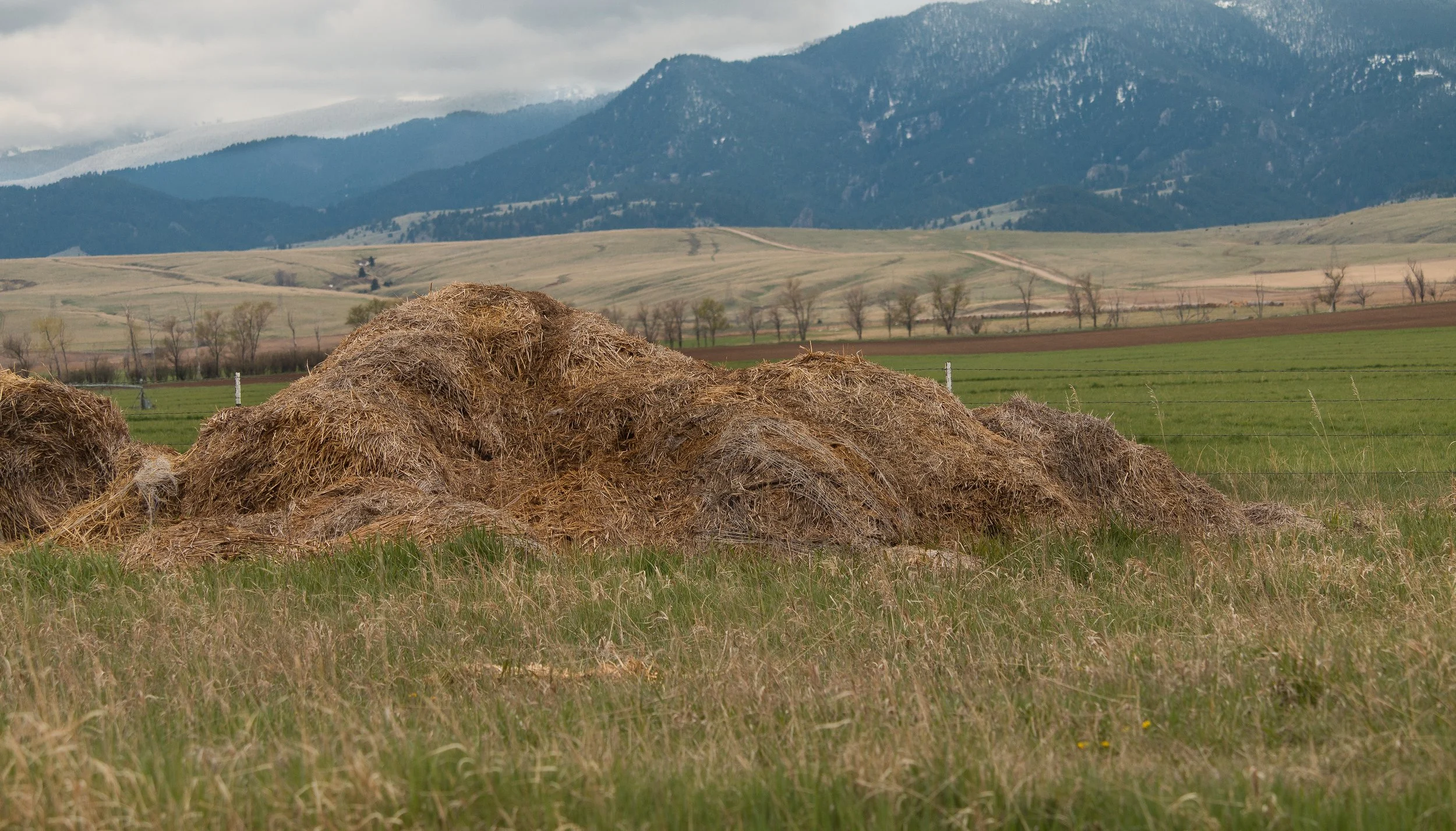 Montana_Hay_PIle.jpg
