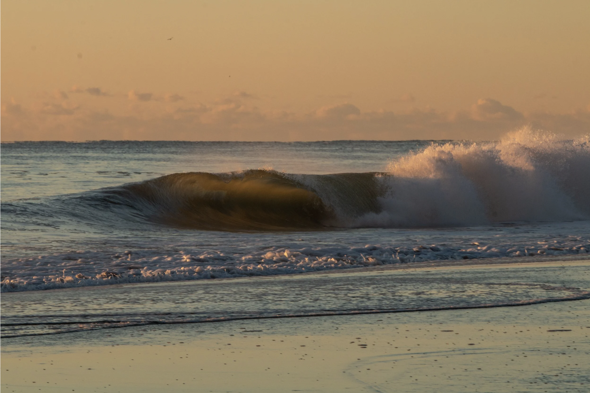 Screenshot 2025-09-02 at 9.38.53 AM.png