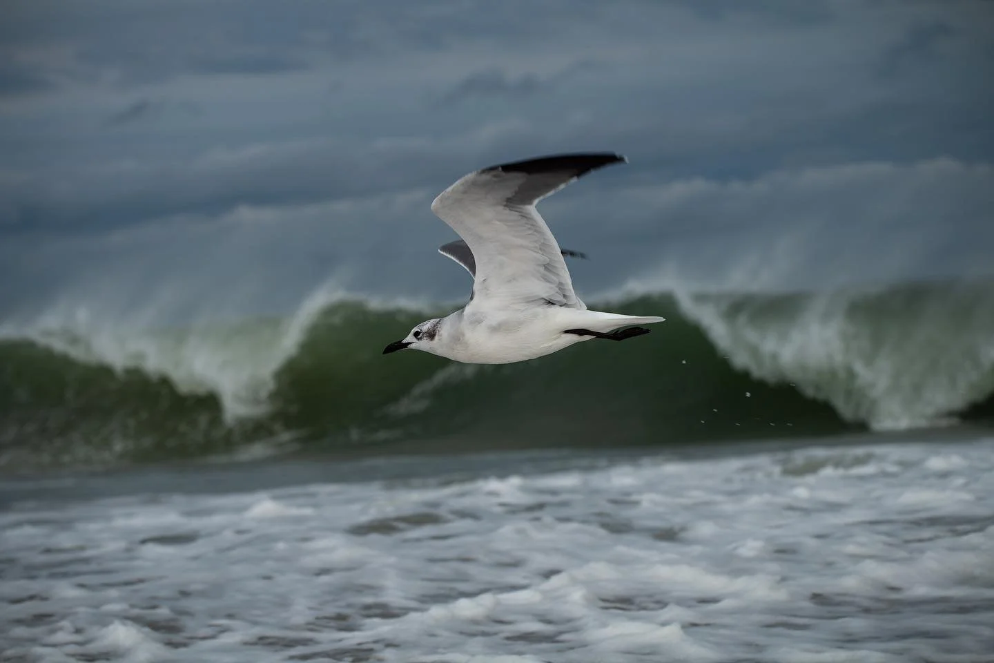 Interesting thing about photography is the memory that surrounds the shot. They are unique to the person behind the lens and create a much deeper meaning that is forever etched. Kind of like a song.

My encounter with this guy lasted seconds but the 