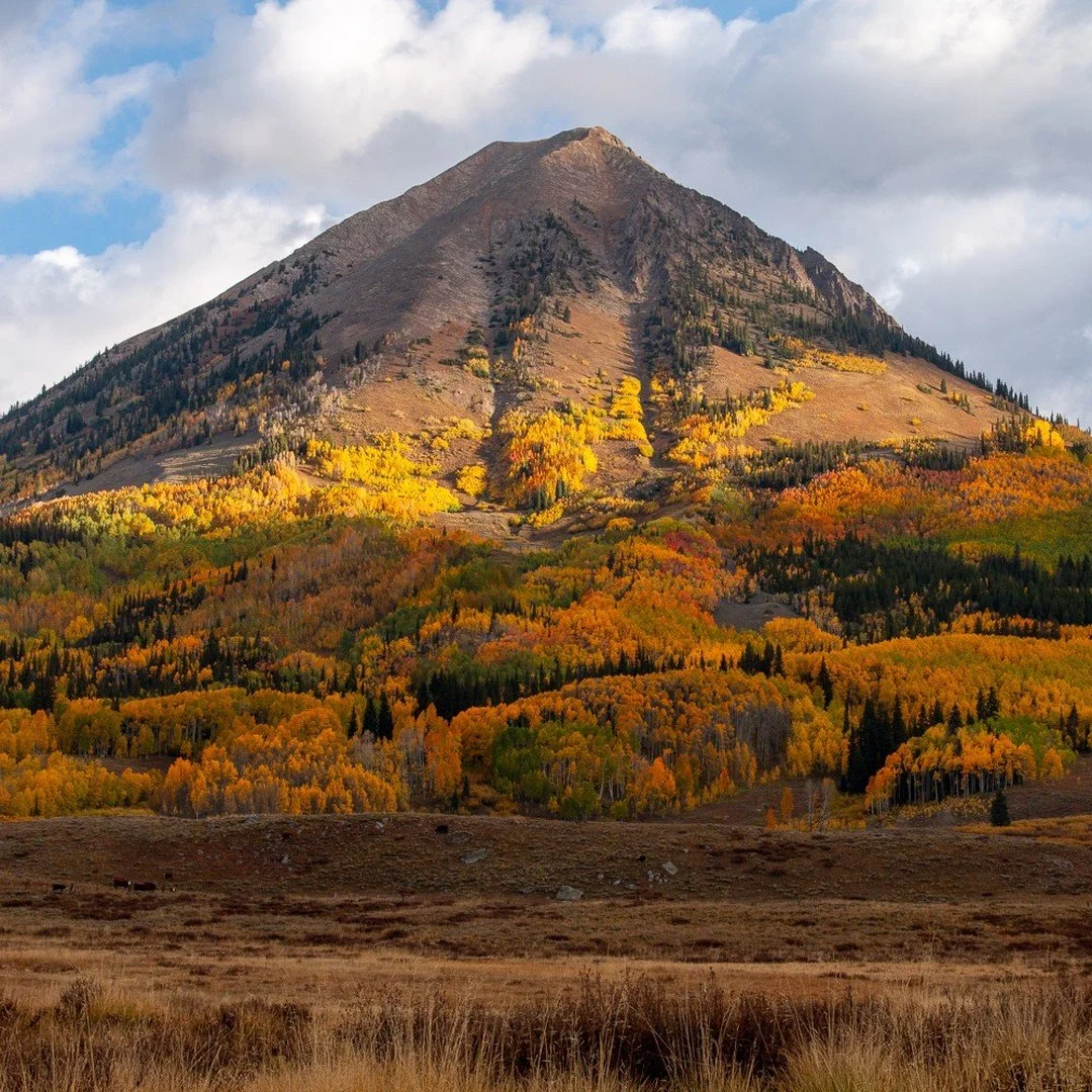 My last six weeks were a whirlwind, to say the least. In addition to just launching a new venture (link in bio), I feel lucky to have travelled across this magical country of ours, connecting with family and making new friends with like-minded strang