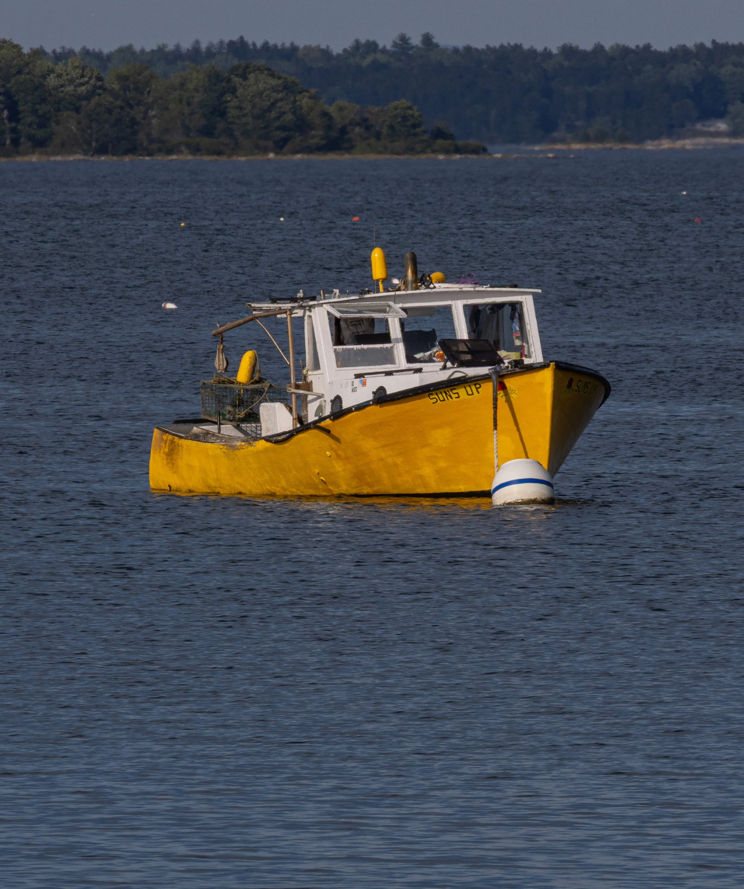 7K7A6176.jpg