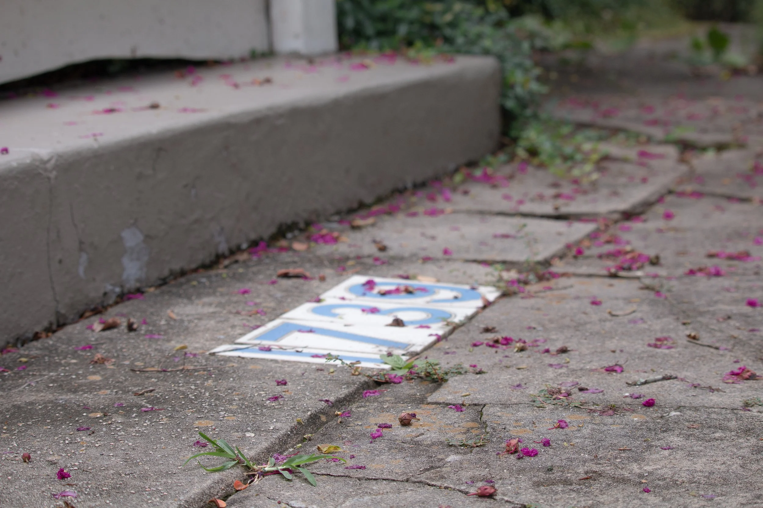 Sidewalk_Address.jpg