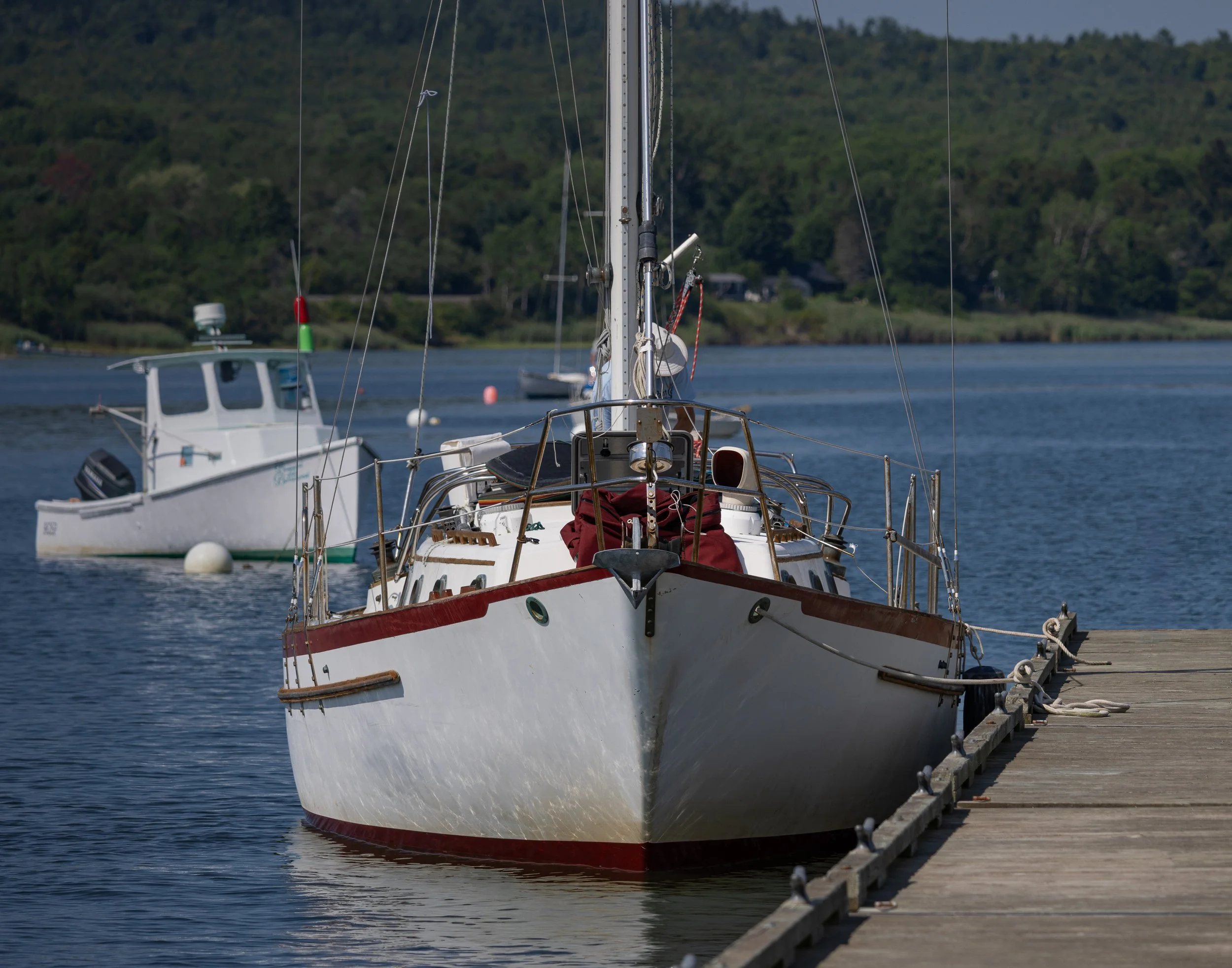 7K7A6095.jpg