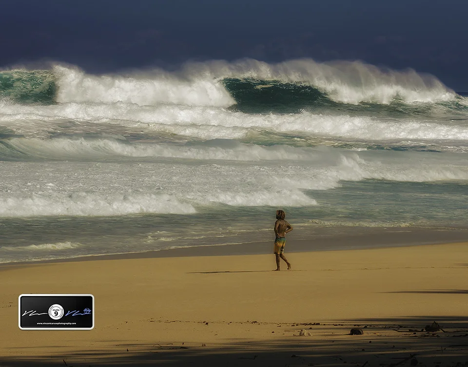 vincentcarusophotography_northshore2016WEB.jpg