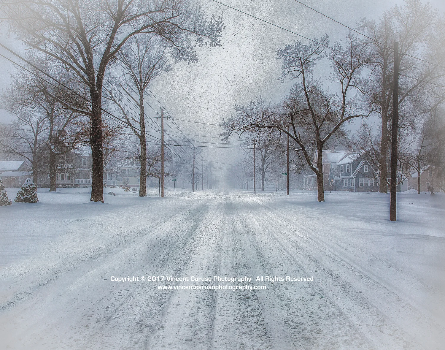 vincentcarusophotography_winters_day_WEB.jpg