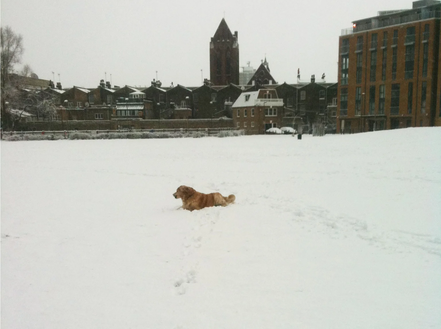 The main lawn covered in snow