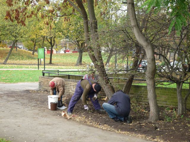 L1000338.jpg