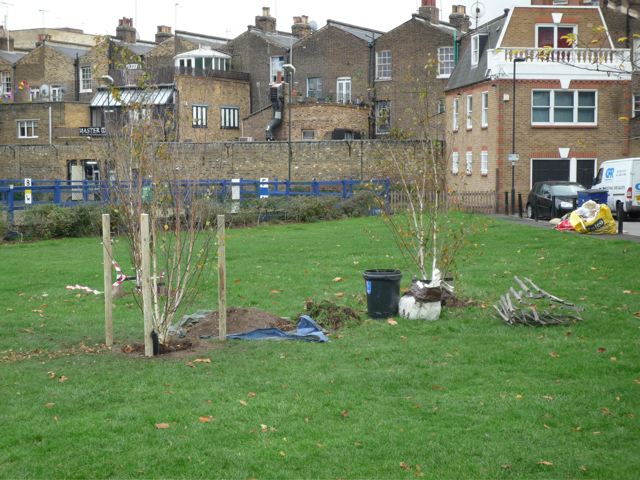 L1000356.jpg