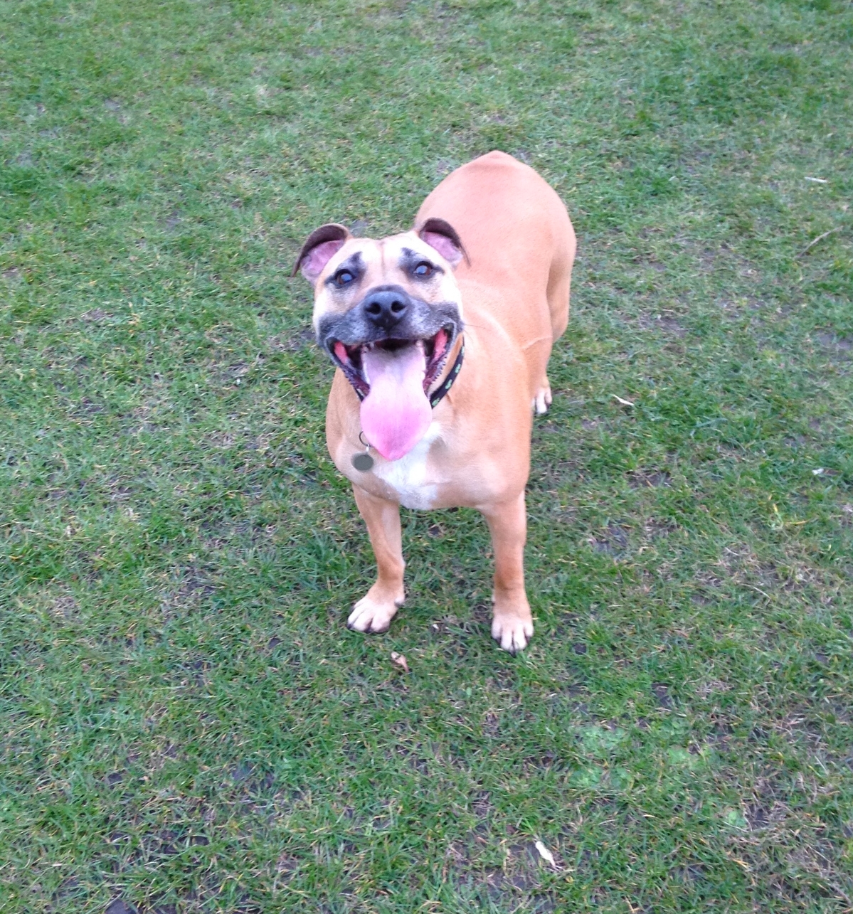 Bella