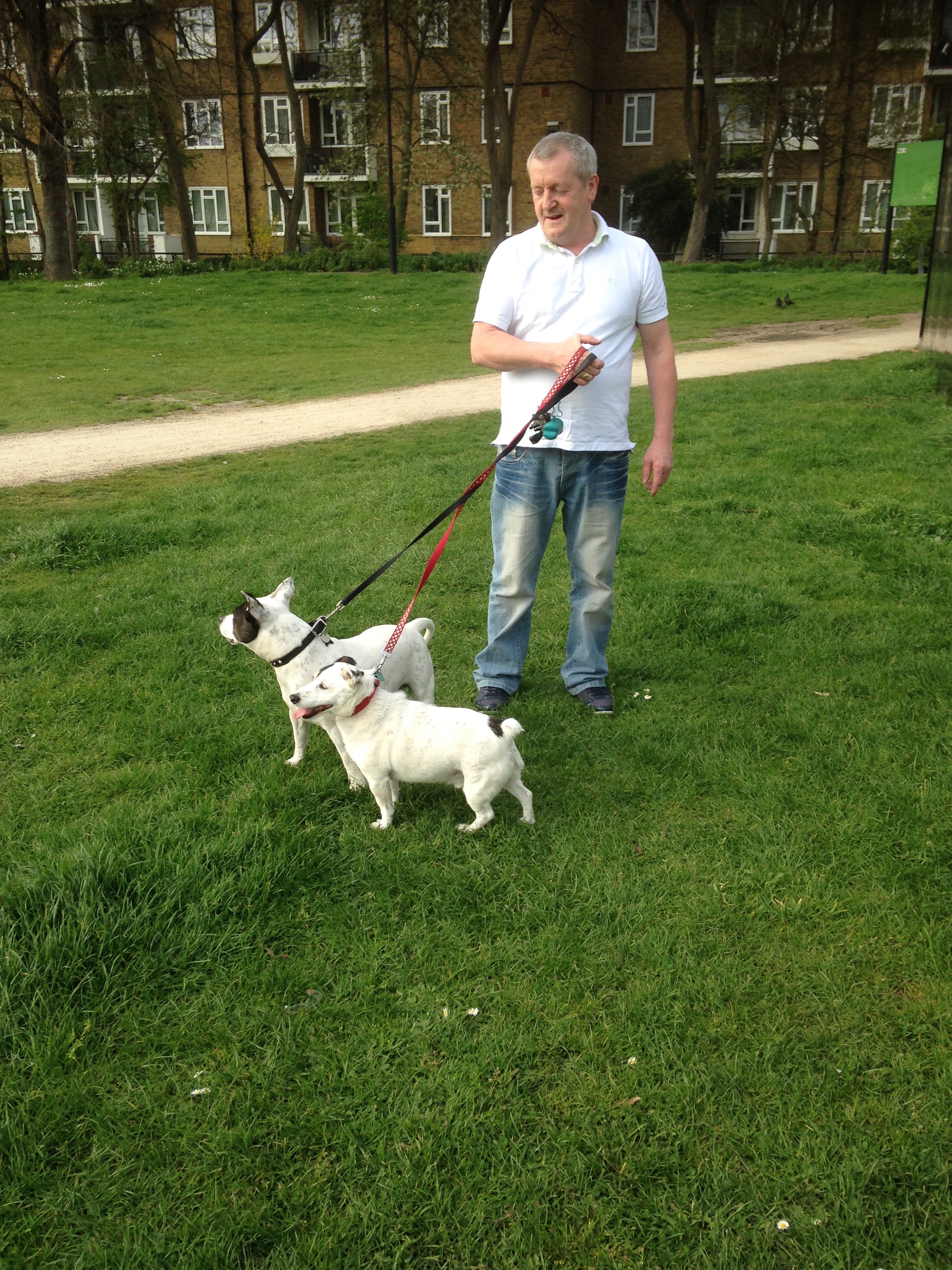 Spot and Kylie with their owner