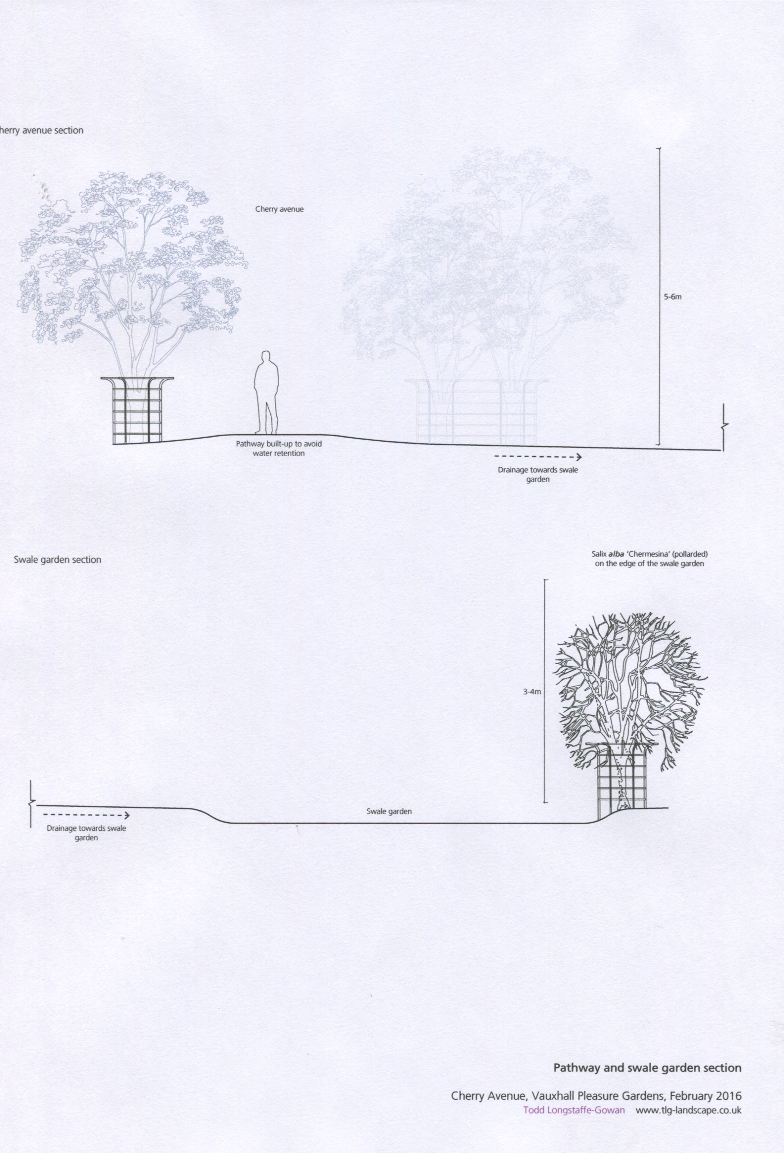 Raised path and tree size ( tree guards not approved as proposed)