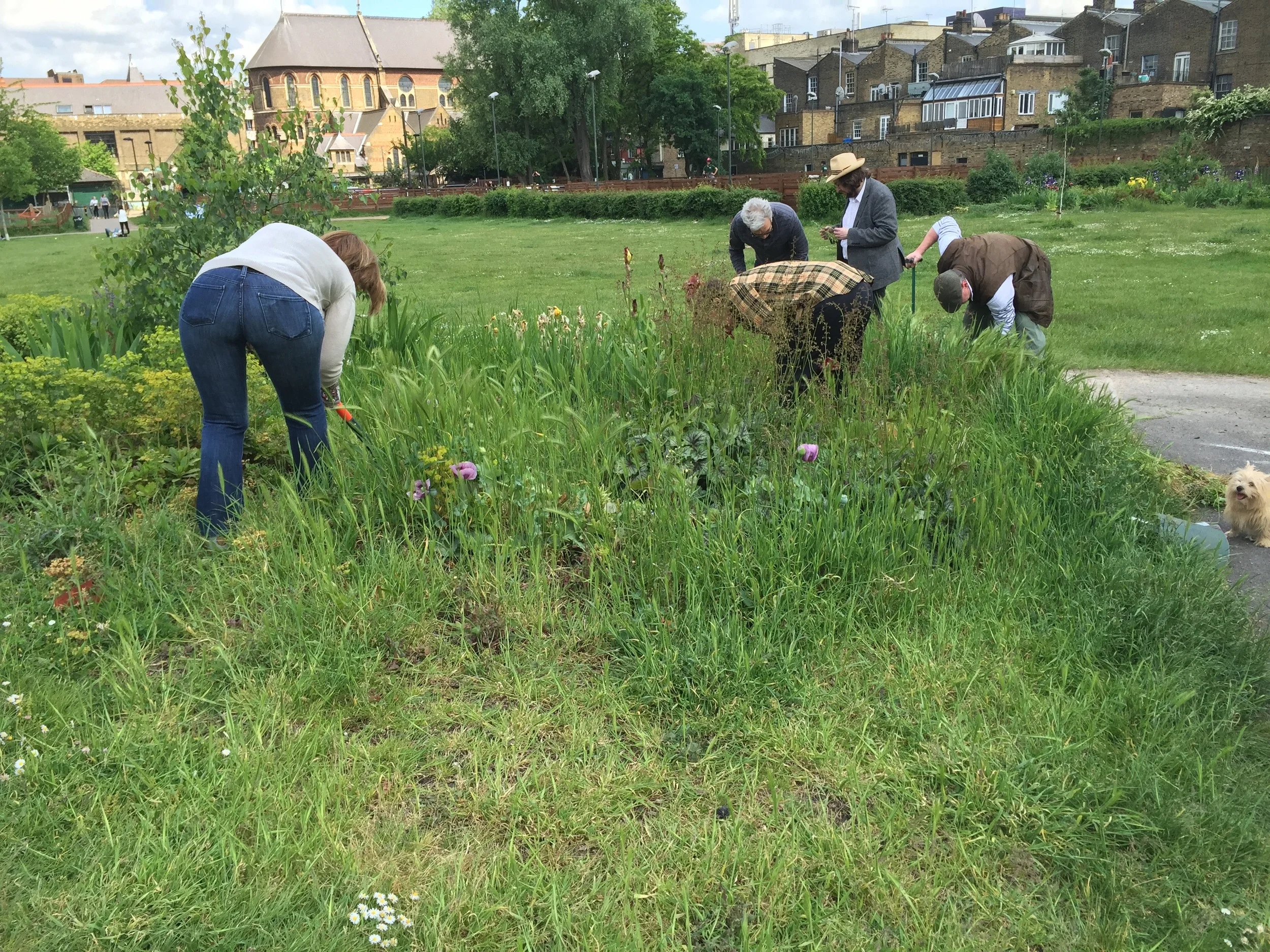 BEFORE ( A ton of weeds)
