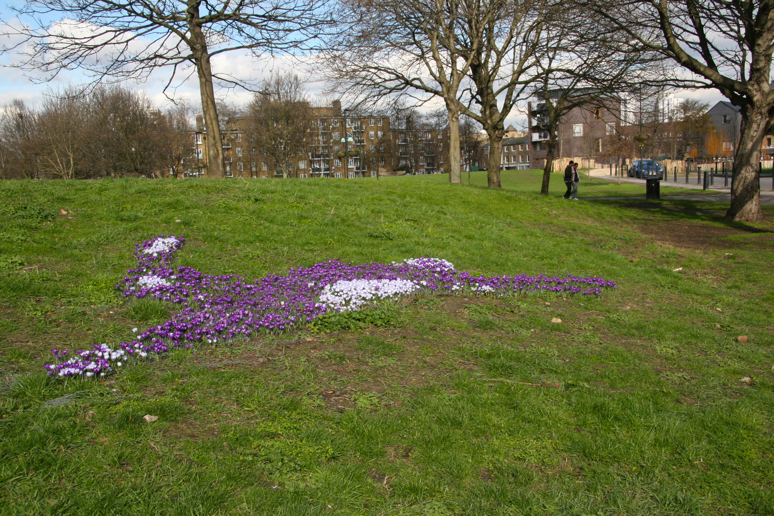The Purple4Polio Crocuses Leaping Hare