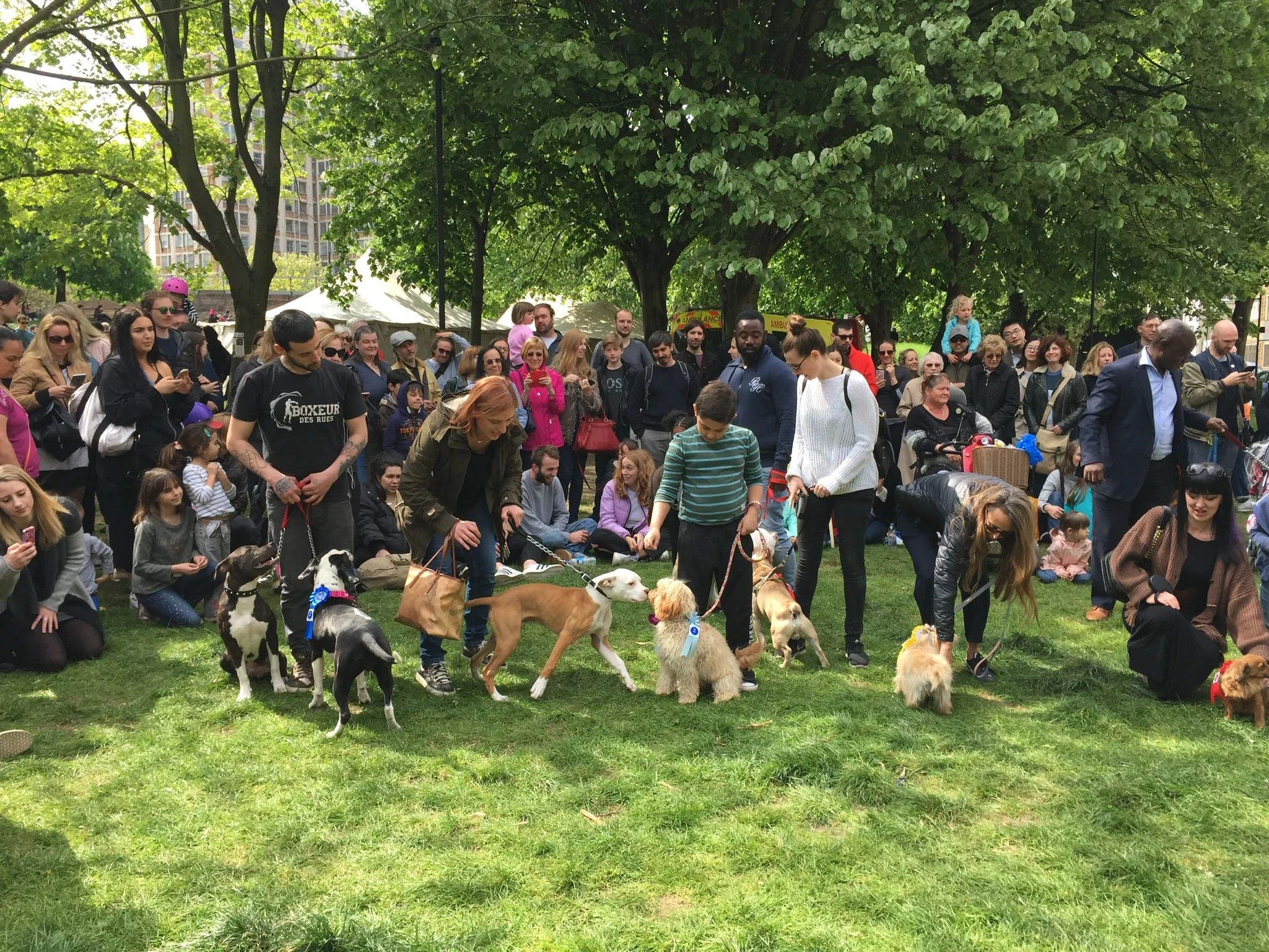 Friends of Vauxhall Pleasure Gardens DOG SHOW at the St George's day Festival 23 April 2017