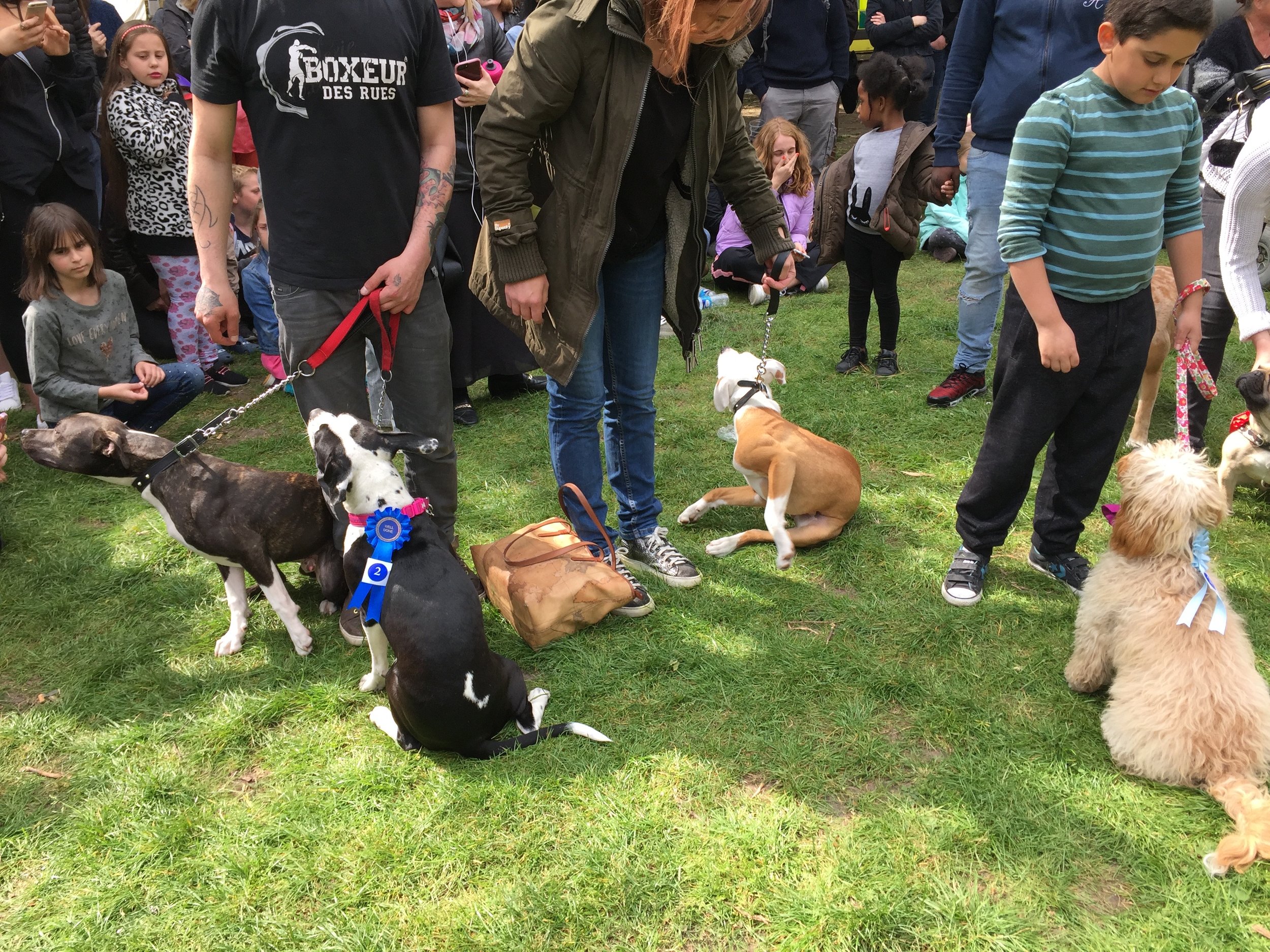 Every dog is a winner !