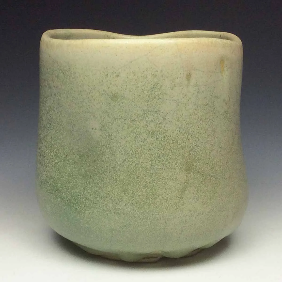 silk vase 1a.jpg