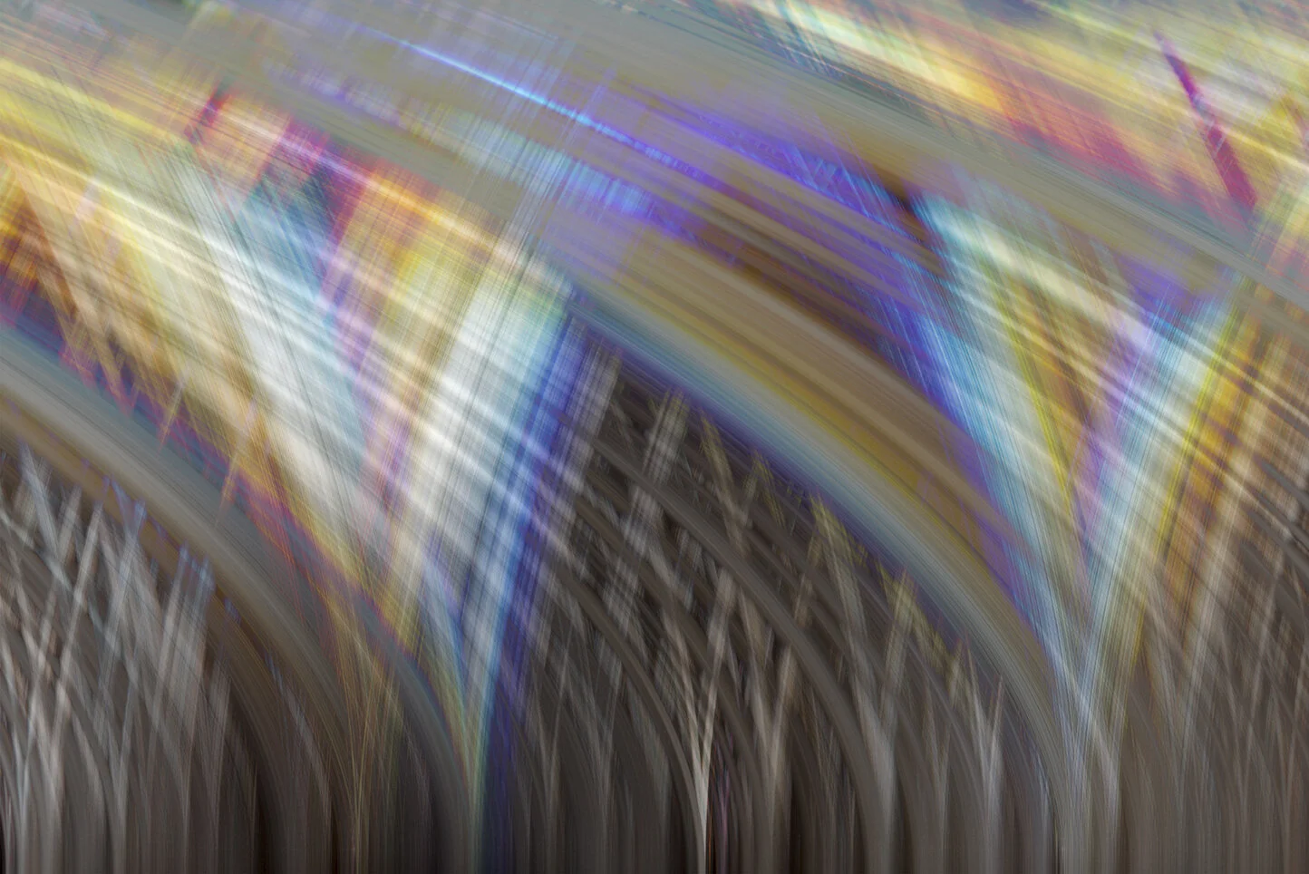 058A Forest Cathedral