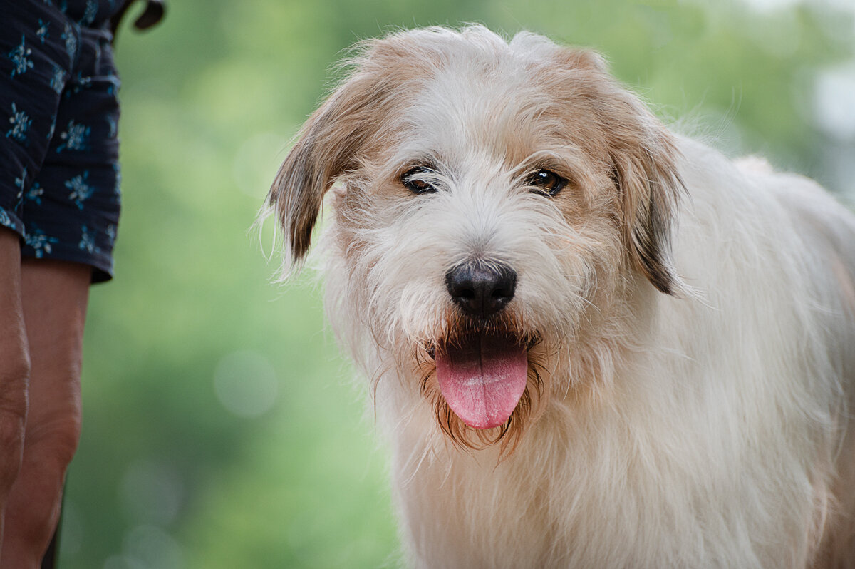Benny Smiling