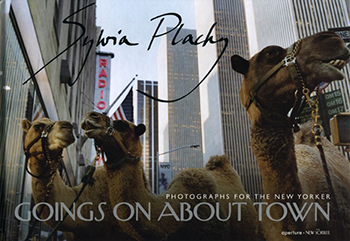 Photographs for the New Yorker, Sylvia Plachy Afterword by Elisabeth Biondi, Aperture Books
