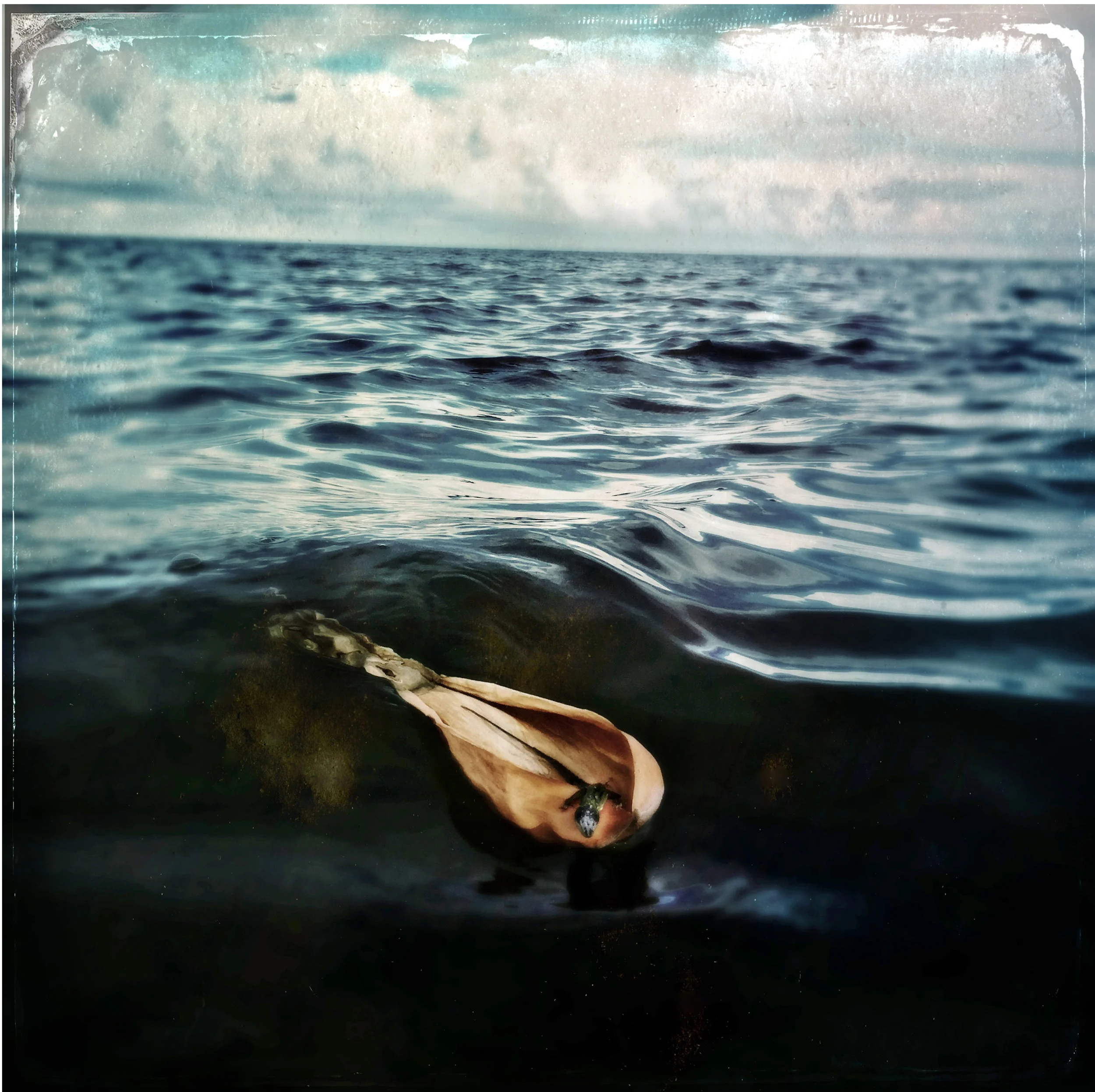 AT SEA.jpg