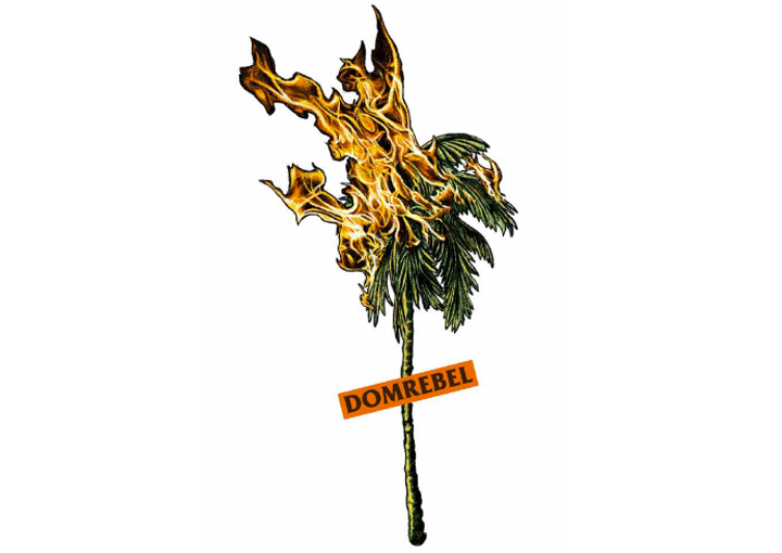 ART - PALM FIRE WHITE.jpg