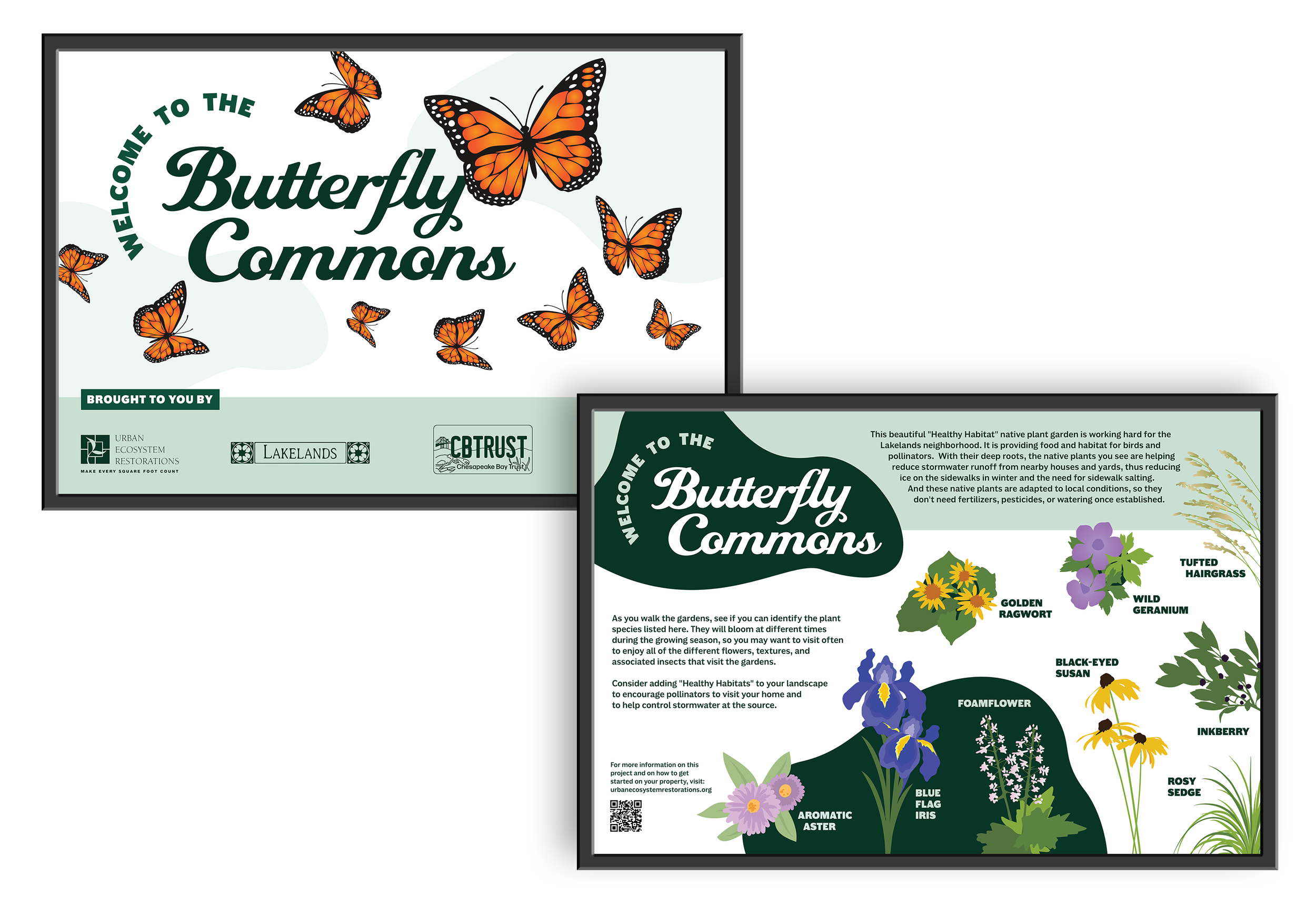 UER_ButterflyCommons_COMP1.png