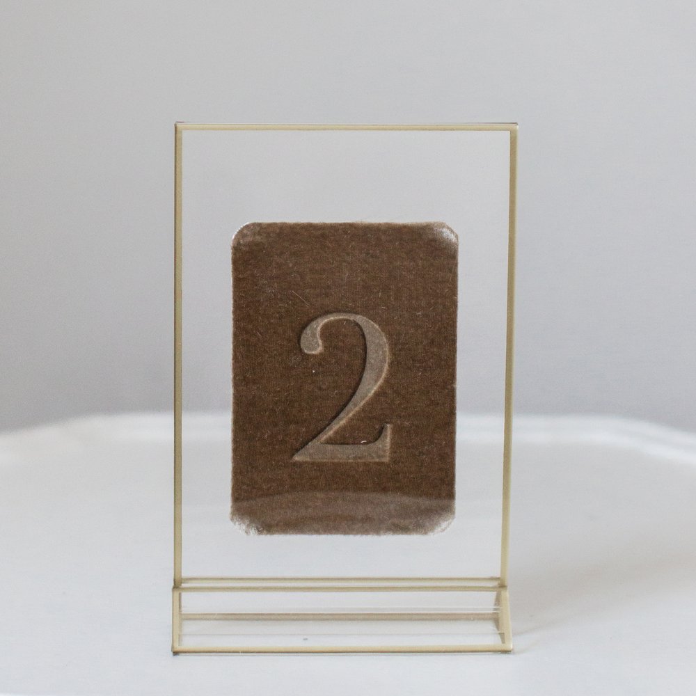 Velvet Table Numbers — Velvet Raptor